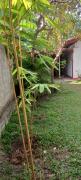 Vibe Ceylon Home Stay