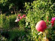 Top Petersdorf auf Fehmarn