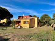 Top Rena Majore Top Rena Majore