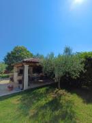 Top Umag