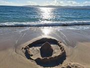 CAP SOLEIL J4 appt 124