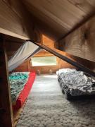 Le chant des grenouilles