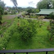 Top Paquita Top Paquita