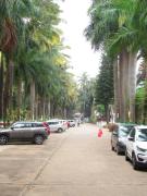 Top Yelahanka