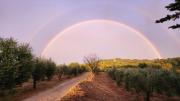 Top Lastra a Signa