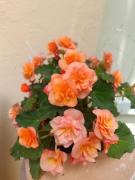 Top Neustadt an der Weinstraße