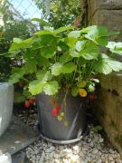 Top Neustadt an der Weinstraße