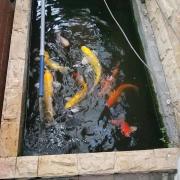 Top Ampang