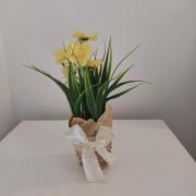 Top Trogir Top Trogir