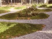 Barreira Beachfront Rooms 4