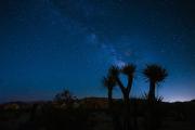 Top Twentynine Palms