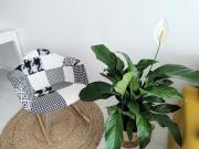 Top Kielce Top Kielce