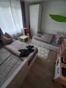 Top Zlatá Olešnice