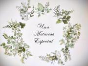 Una Asturias Especial