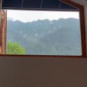 Top Wildermieming