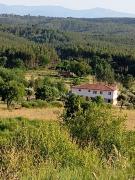 Top Ázere