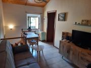 Top Frontone Top Frontone