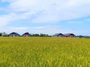 Top Chłopy Top Chłopy