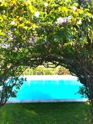 Top Pereiro da Palhacana