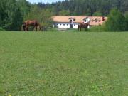 Top Łapino Kartuskie