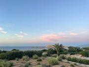 Top Santa Marina