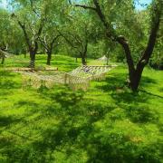 Top Santo Stefano di Magra