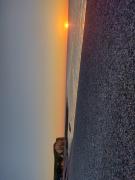 Chaumière dAlbâtre - Gîte-Entre terre et Mer