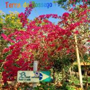 Top Pirenópolis