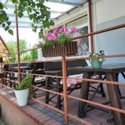 Top Sokółka Top Sokółka