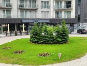 Apartament Czarna Góra MOON Apartament Czarna Góra MOON