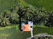 Top Ubud