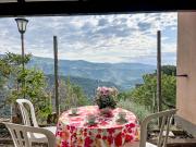 Top Lecchiore Top Lecchiore