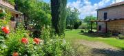 CHIANTI - Lovely Cottage with Parking & Garden!