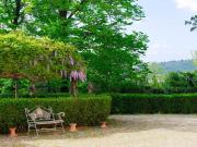 Top Grassina Top Grassina