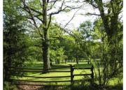 Top Iráizoz Top Iráizoz