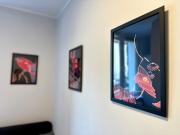 Top Gdańsk Top Gdańsk