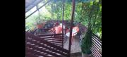 Top Bitola