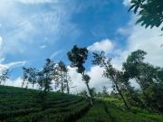 Top Idukki