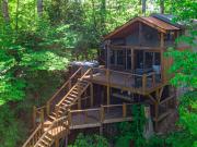 Top Ellijay