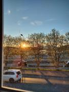 Luksuriøs leilighet midt i Bodø