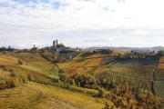 Top Serralunga d'Alba