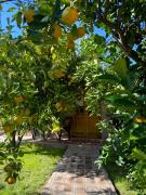 Top Villa Mercedes Top Villa Mercedes