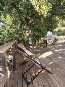 Top Canillas de Aceituno