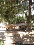 Top Canillas de Aceituno