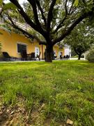 Top Zgornje Škofije