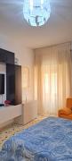 New House New House