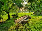 Zemnieku saimniecība Paldaži