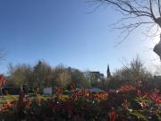 Top Onesse-et-Laharie