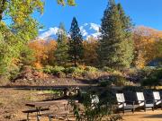 Top Mount Shasta