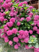 Top Tagliolo Monferrato